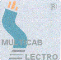 MULTICAB ELECTRO