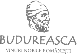 BUDUREASCA VINURI NOBILE ROMÂNEŞTI