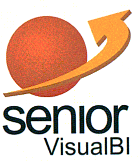 SeniorVisualBl