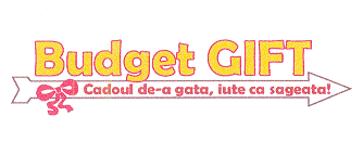 Budget GIFT Cadoul de-a gata, iute ca sageata!