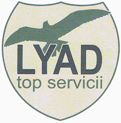 LYAD top servicii