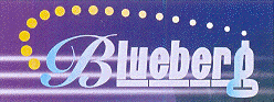 Blueberg