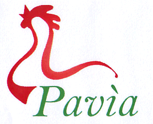 Pavia