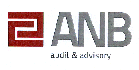 ANB audit & advisory
