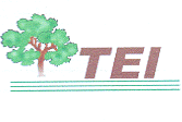 TEI