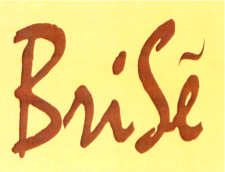 BriSe