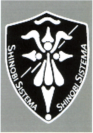 SHINOBI SISTEMA