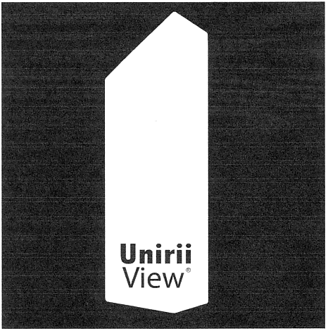 Unirii View