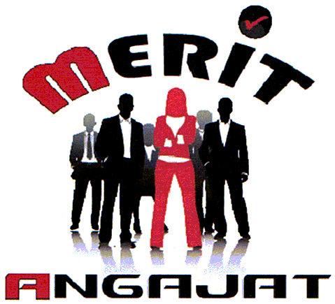 MERIT ANGAJAT