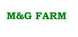 M&G FARM