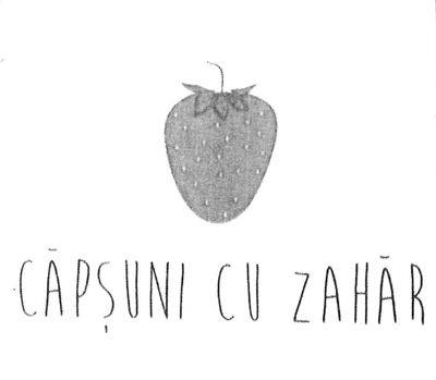 CĂPȘUNI CU ZAHĂR