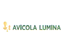 AVICOLA LUMINA