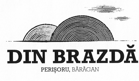DIN BRAZDĂ PERIŞORU, BĂRĂGAN