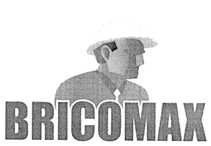 BRICOMAX