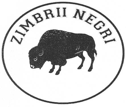ZIMBRII NEGRI