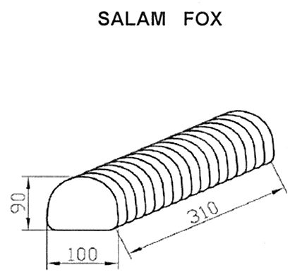 SALAM FOX