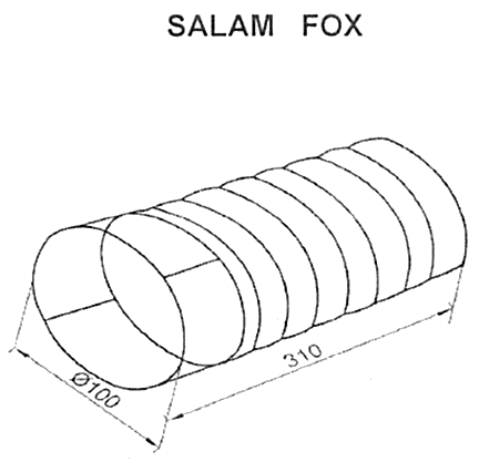 SALAM FOX
