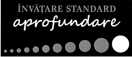 ÎNVĂŢARE STANDARD aprofundare