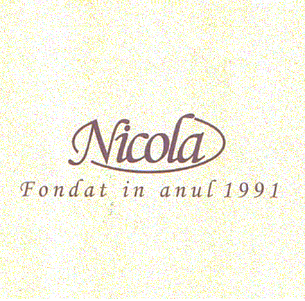 Nicola Fondat in anul 1991