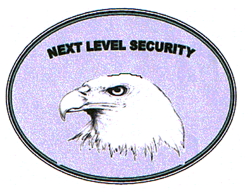 NEXT LEVEL SECURITY
