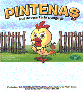 PINTENAŞ Pui deoparte la punguţă!