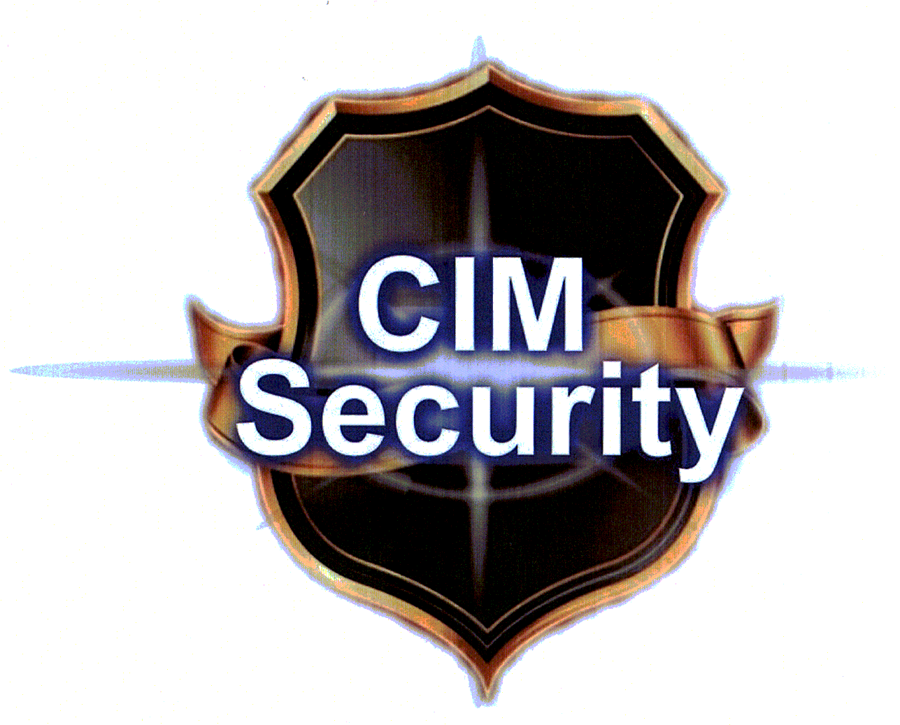 CIM Security