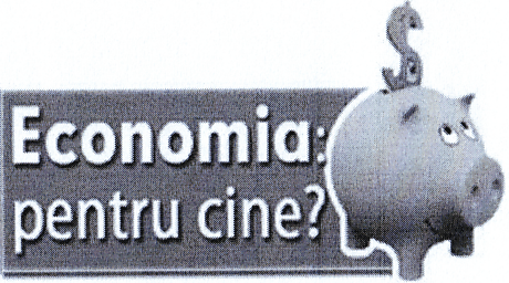 ECONOMIA: PENTRU CINE?