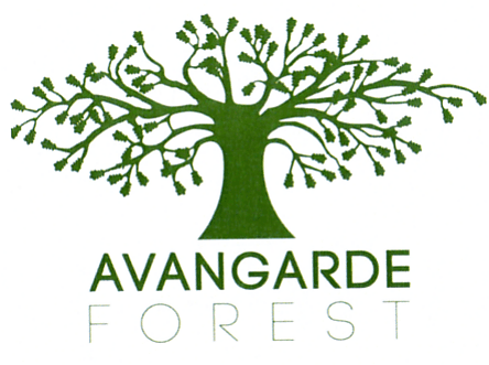 AVANGARDE FOREST