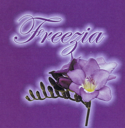 Freezia