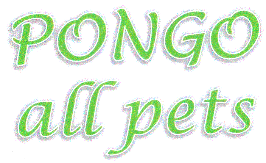 PONGO all pets