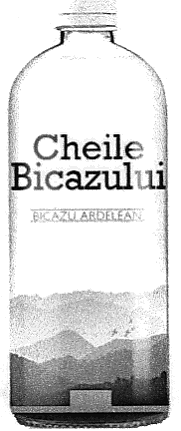 Cheile Bicazului BICAZU ARDELEAN
