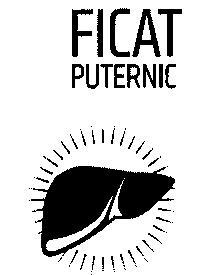 FICAT PUTERNIC