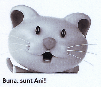 Buna, sunt Ani!