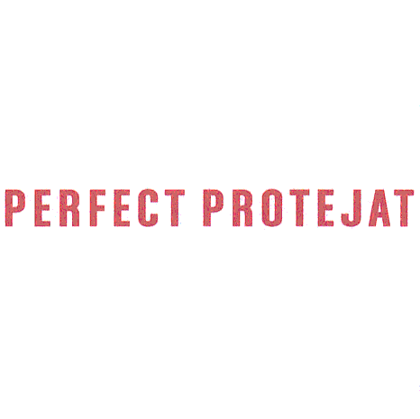PERFECT PROTEJAT