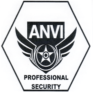 ANVI PROFESSIONAL SECURITY