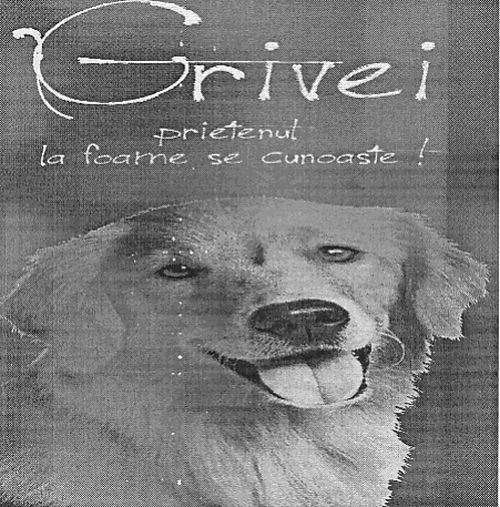 Grivei prietenul la foame se cunoaste!