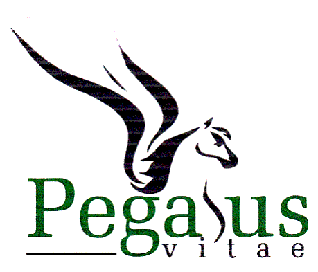 Pegasus vitae