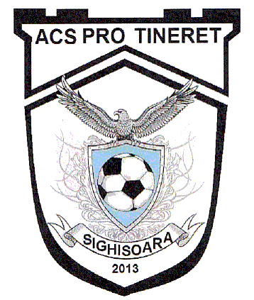 ACS PRO TINERET SIGHISOARA 2013