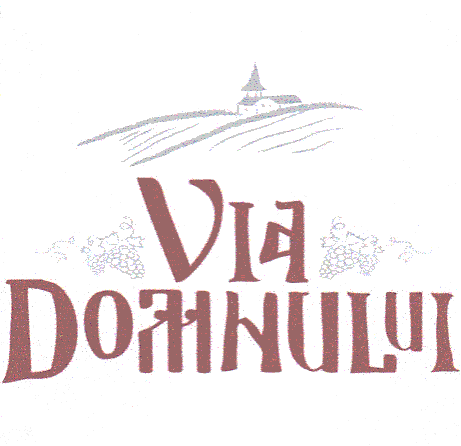Via Domnului