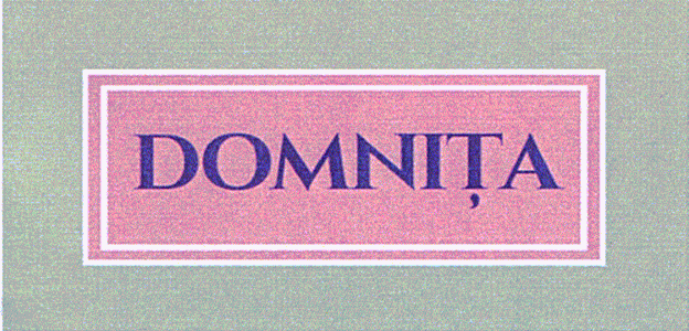 DOMNIŢA