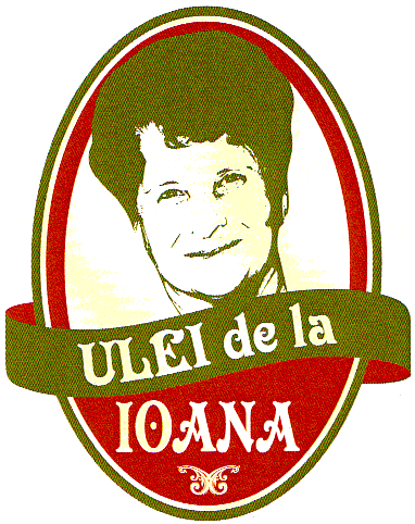 ULEI de la IOANA