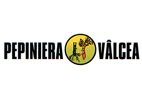 PEPINIERA VÂLCEA