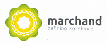 marchand defining excellence