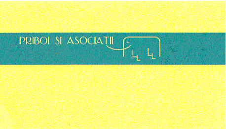 PRIBOI SI ASOCIATII