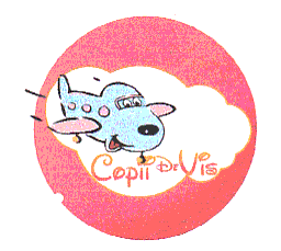 CopiiDeVis