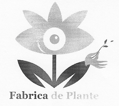 Fabrica de Plante