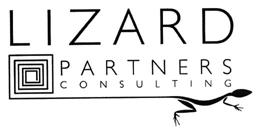 LIZARD PARTENRS CONSULTING