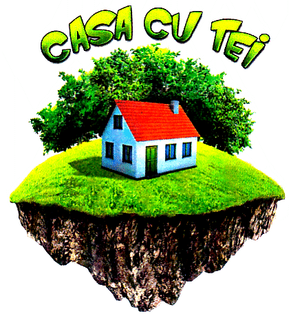 CASA CU TEI