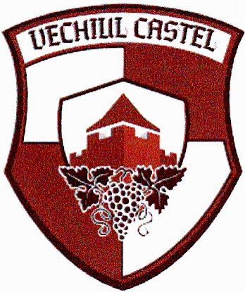 VECHIUL CASTEL