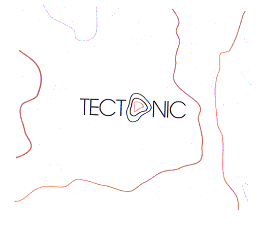 TECT NIC